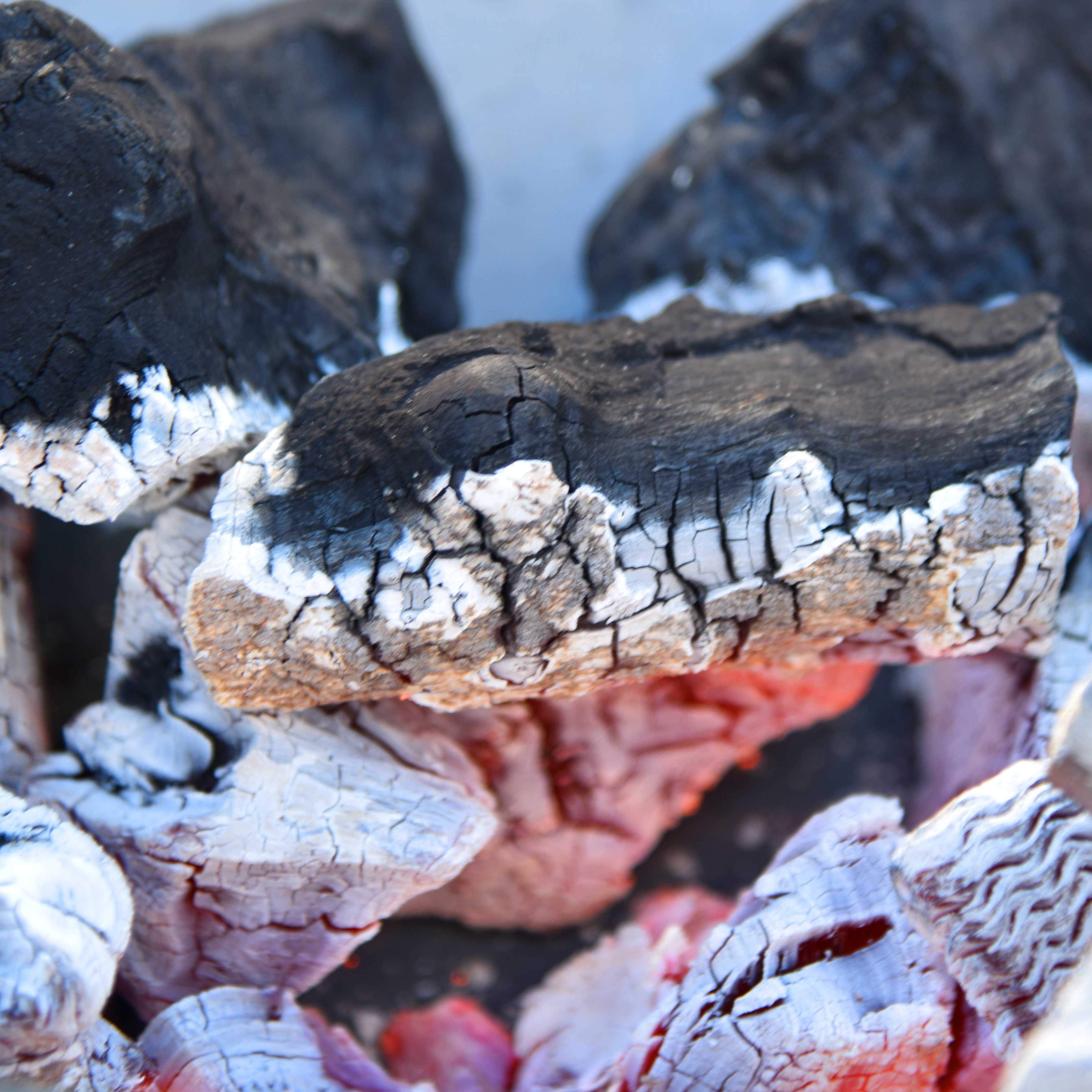 {"value":{"src":"http://file-manager-bucket-production-234547735252.s3.eu-west-2.amazonaws.com/1iot28lmkpm4bv_Charcoal Bag Close Up Burning 2.jpg","alt":"","title":"Charbag lit texture","fileId":"01HACMQT558588PGDG74XV3DQQ"}}