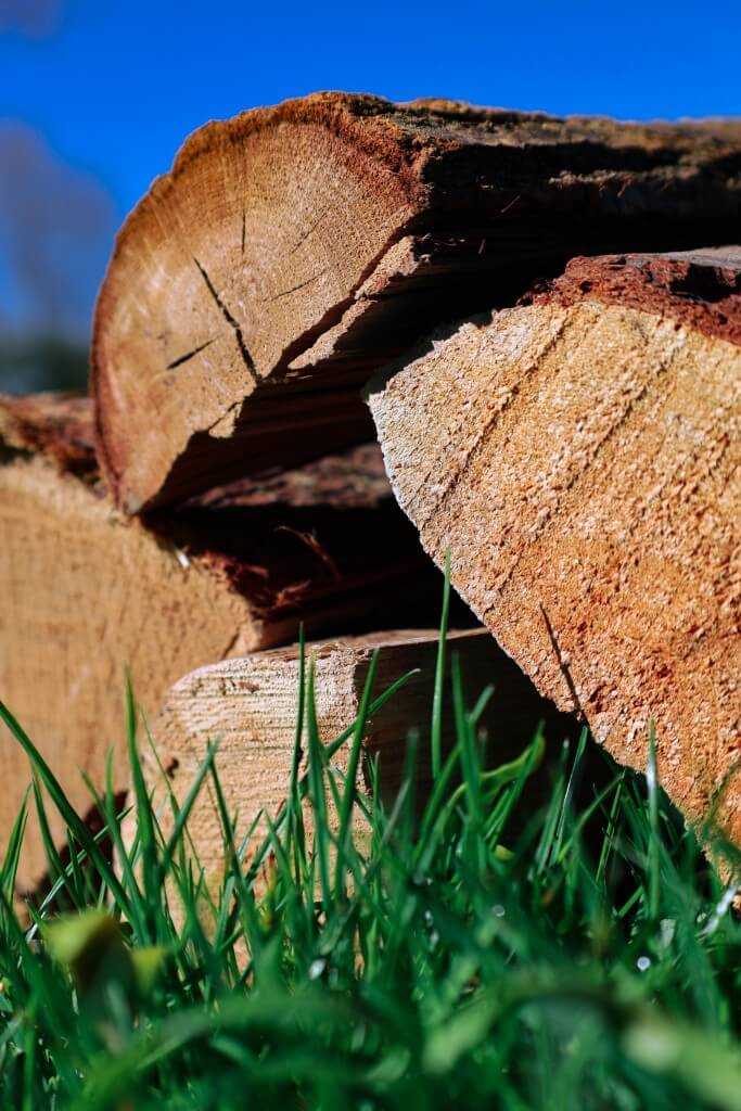{"value":{"src":"https://file-manager-bucket-production-234547735252.s3.eu-west-2.amazonaws.com/46a8mc91x564_Oak-Firewood-on-Grass-1024px.jpg","alt":"","title":"Oak-Firewood-on-Grass-1024px.jpg","fileId":"01JYEAYFF03DH8AKC2AG3TX2N4"},"style":"position:absolute;top:0;left:0;width:100%;height:100%;object-fit:cover;"}