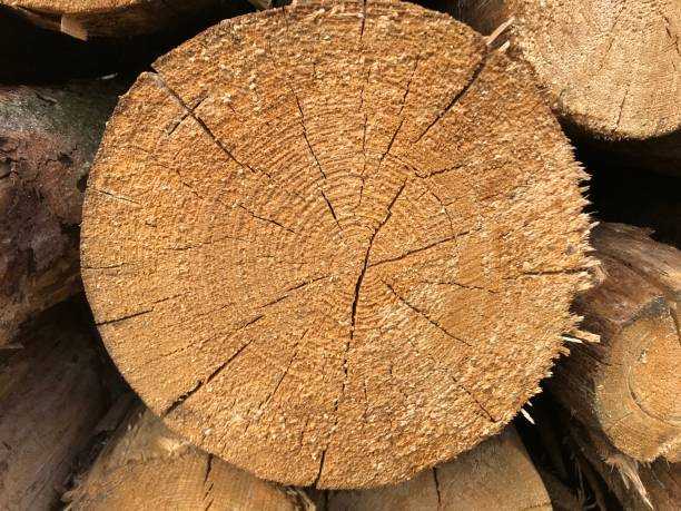 Top 5 Wood Burning Myths | Clean, Efficient Heating with White Horse Energy 