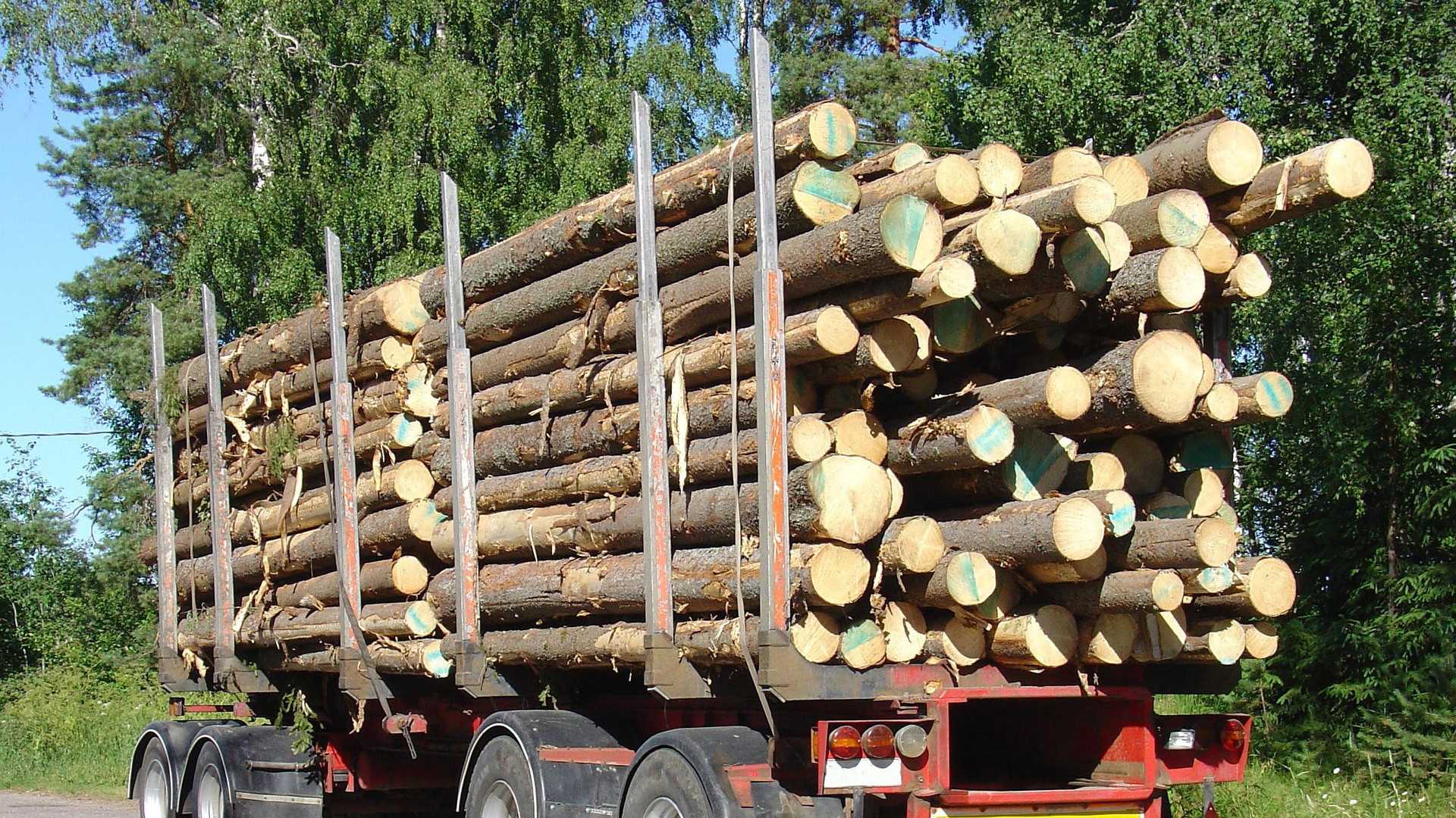 {"value":{"src":"http://file-manager-bucket-production-234547735252.s3.eu-west-2.amazonaws.com/mqpyg8lmkkmg0b_How-Wood-Pellets-Are-Made1.jpg","alt":"","title":"How-Wood-Pellets-Are-Made1.jpg","fileId":"01HACCQZNQCKS1KGYE7749VS88"}}